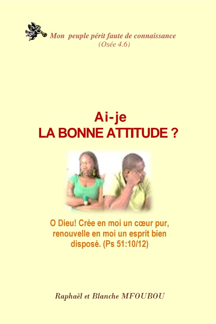 Ai-je la bonne attitude ?